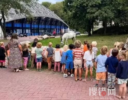 自稱騎馬回國的小伙道歉:都是假的 為什么道歉什么情況?