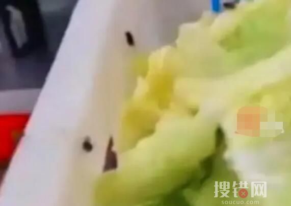 中學食堂后廚爬滿蒼蠅 教育局回應 到底是不是真的？