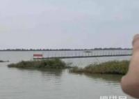 官方回應網紅稱1800萬包下高郵湖 為什么包湖？