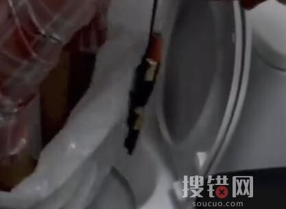 愛沙尼亞電視臺教人用塑料袋如廁 為什么引熱議？