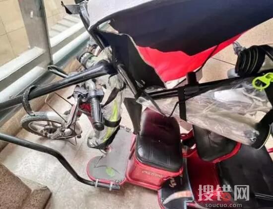 哈士奇從天而降砸傷老人孩子 始料未及真相簡直令人震驚