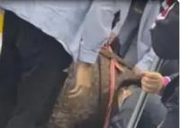 濟南一男子地鐵上暈倒 自述沒錢吃飯 到底是什么情況？