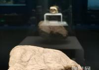 湖北發現距今百萬年人類頭骨化石 為什么保存這么久？