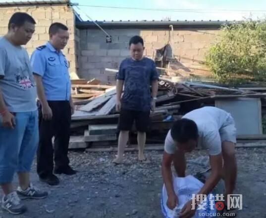 女孩網購毒蛇當寵物 一個月后身亡 安全隱患遠比我們想象的嚴重