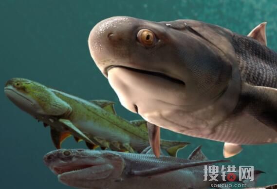 “從魚到人”有了關鍵證據 到底是不是真的?