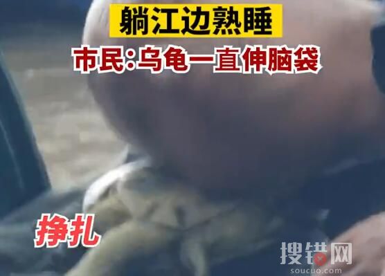 大爺將烏龜當枕頭躺江邊熟睡 原因竟是這樣簡直太無語了