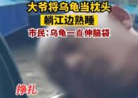 大爺將烏龜當枕頭躺江邊熟睡 到底是什么情況？