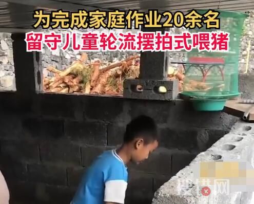 20余名留守娃輪流擺拍喂豬完成作業 隔兩三秒擺拍一下