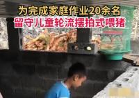 20余名留守娃輪流擺拍喂豬完成作業 隔兩三秒擺拍一下