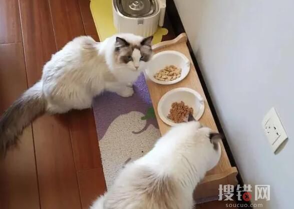 年輕人假期兼職圖鑒 內幕曝光簡直太意外了