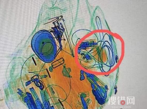 旅客攜帶罌粟過安檢稱治胃病 內幕曝光簡直太意外了