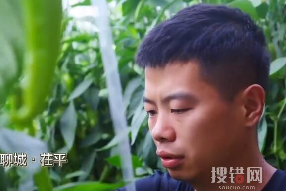 山東一村8090后全部回村就業 種辣椒賣辣椒年入50萬余元