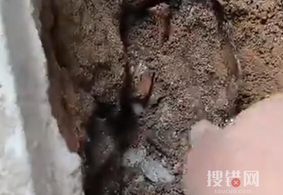 男子挖下水道掏出錢幣手表吊墜 意外收獲讓人太驚喜了
