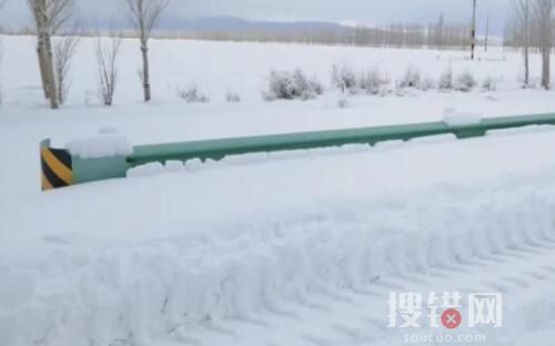 媒體:新疆暴雪 有牧民失聯牛羊凍死 內幕曝光簡直太意外了