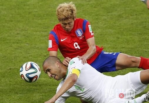 韓國vs加納預測分析