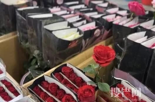北京鮮花價格“刺手” 玫瑰翻價5倍 始料未及真相簡直太意外了