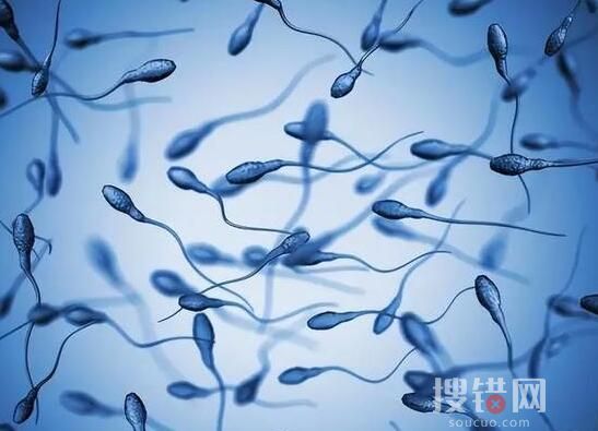 科學家研發出男性避孕藥 更多細節分享實在太意外了