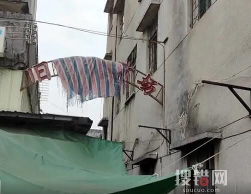 狂飆拍攝地有人豎牌“拍視頻5元1次” 背后真相簡直太離譜了