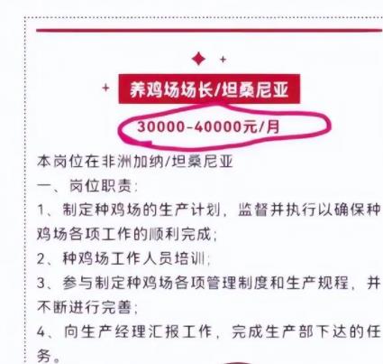 月薪4萬招人去非洲養雞?企業回應 條件艱辛符合的人不多