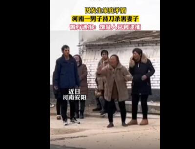 河南滑縣一男子持刀殺妻 已被批捕 真相揭露真的令人大吃一驚