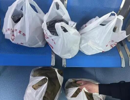 鄭州一醫院開出2.3萬元中藥處方 真相曝光簡直太驚人了