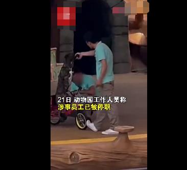 動物園回應員工呵斥抽打小狗 小狗受皮外傷已處理
