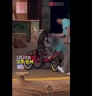 動物園回應員工呵斥抽打小狗 小狗受皮外傷已處理