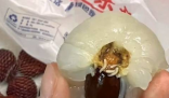 胖東來荔枝打開全是蟲子 原因竟是這樣太崩潰了