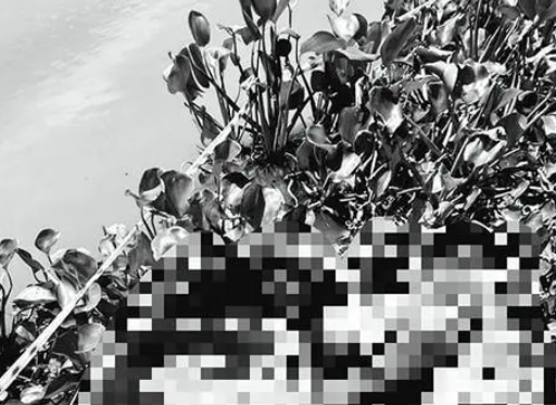 中國男子被同胞殺害藏尸行李箱 始料未及真相簡直太意外了