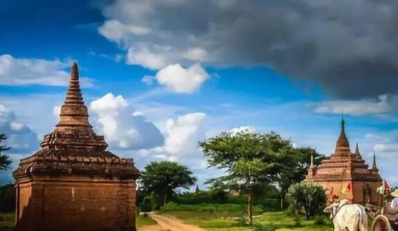 多個孩子被中介2萬一個帶到緬甸 真相揭露真的令人大吃一驚