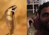 印度男子遭蛇咬兩口后反咬蛇三口 為什么被蛇咬？