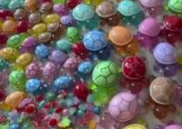 日薪200招工給烏龜畫眼睛嘴巴 到底是什么情況？