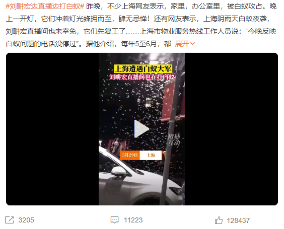 白蟻就是白色的螞蟻？