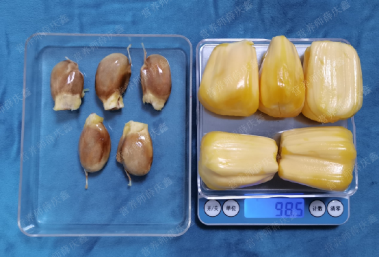 菠蘿蜜的核不能吃？